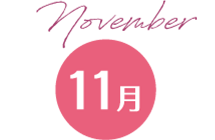 11月