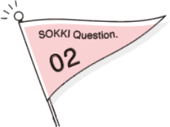 SOKKI Question02