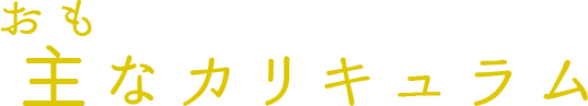 主なカリキュラム