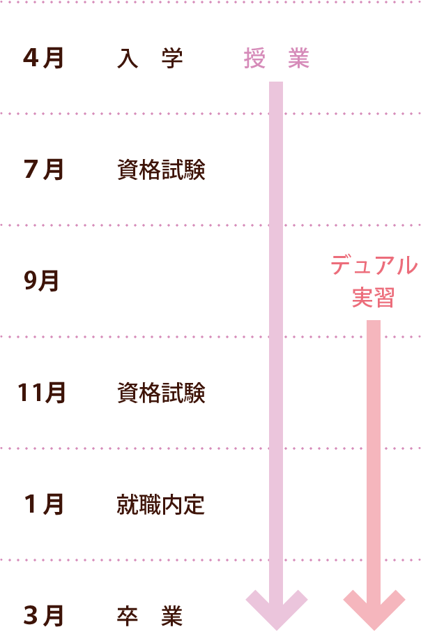 デュアルシステムの流れ