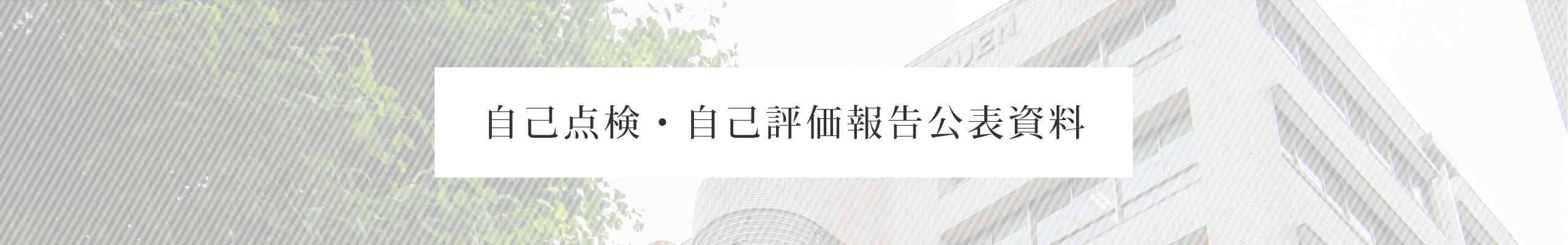 自己点検・自己評価報告公表資料