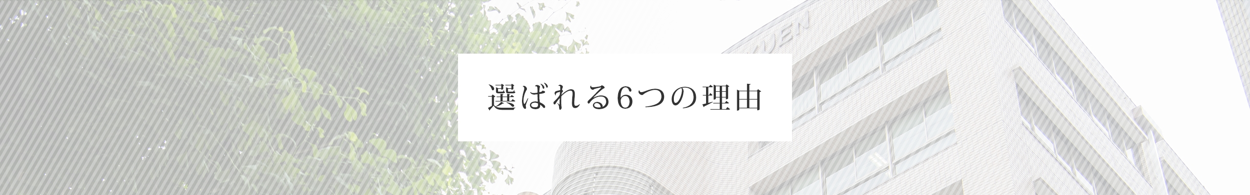 選ばれる6つの理由