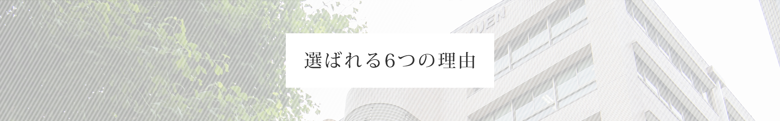 選ばれる6つの理由