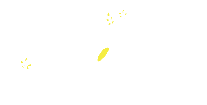 Sokki