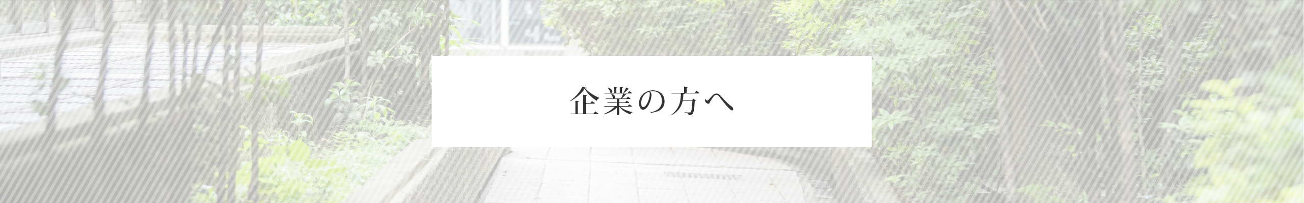 企業の方へ